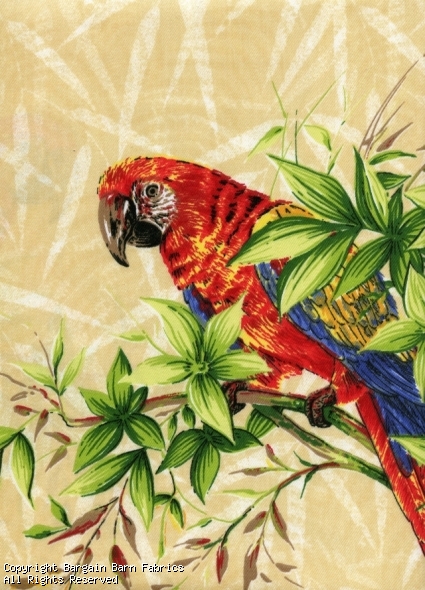 Lively Jungle Macaws
